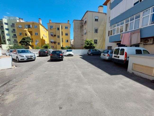 Vitorinos IMG2