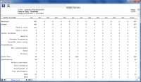 Financial Income Statement