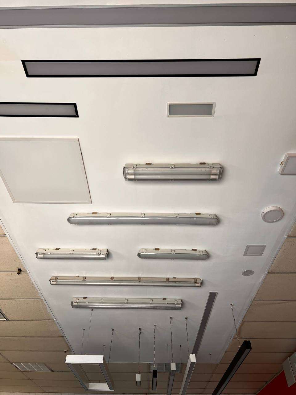 photo_2025-03-06 09.09.52