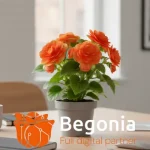 Begonia anuncia a spin-off Verbena em novo ecossistema de tecnologia e marketing para dobrar faturamento em 2026