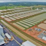 Complexo da Peixes da Amazônia é arrematado por R$ 13 milhões